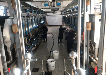 为酒泉东风乳品厂提供挤奶厅设备及乳制品加工成套生产线